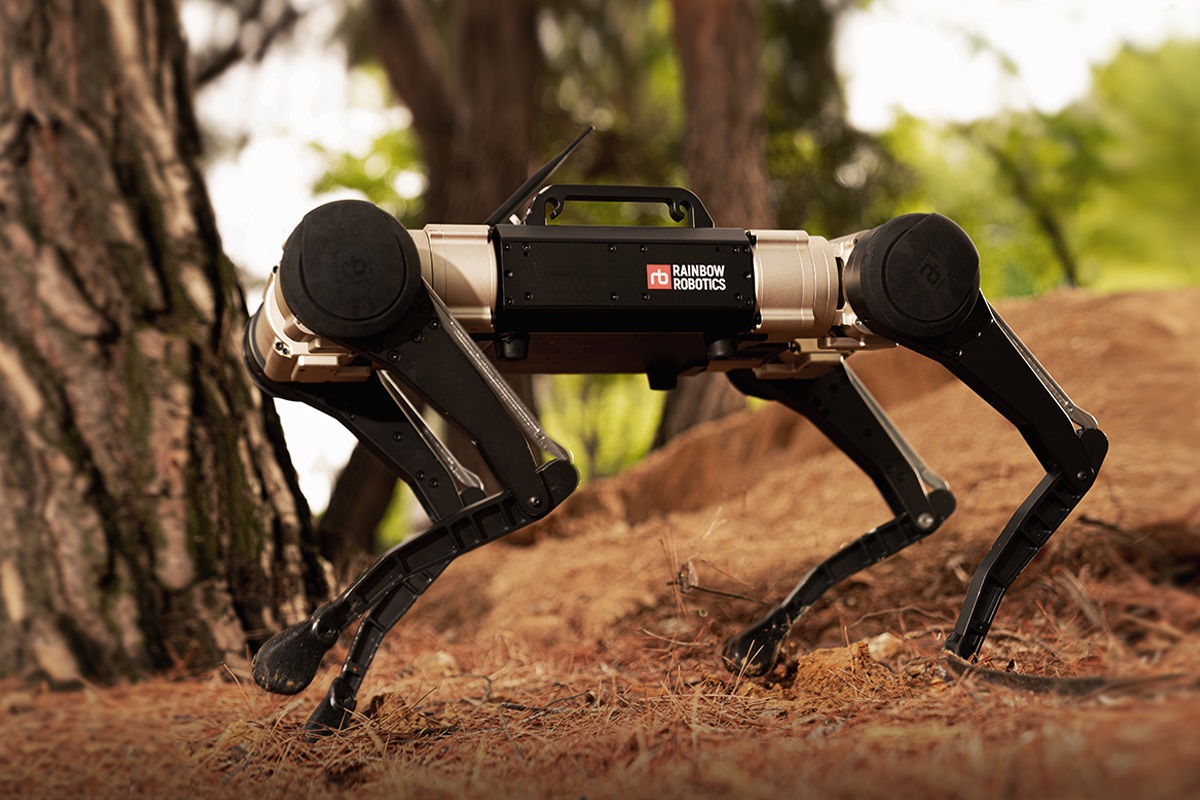 Quadruped robot 